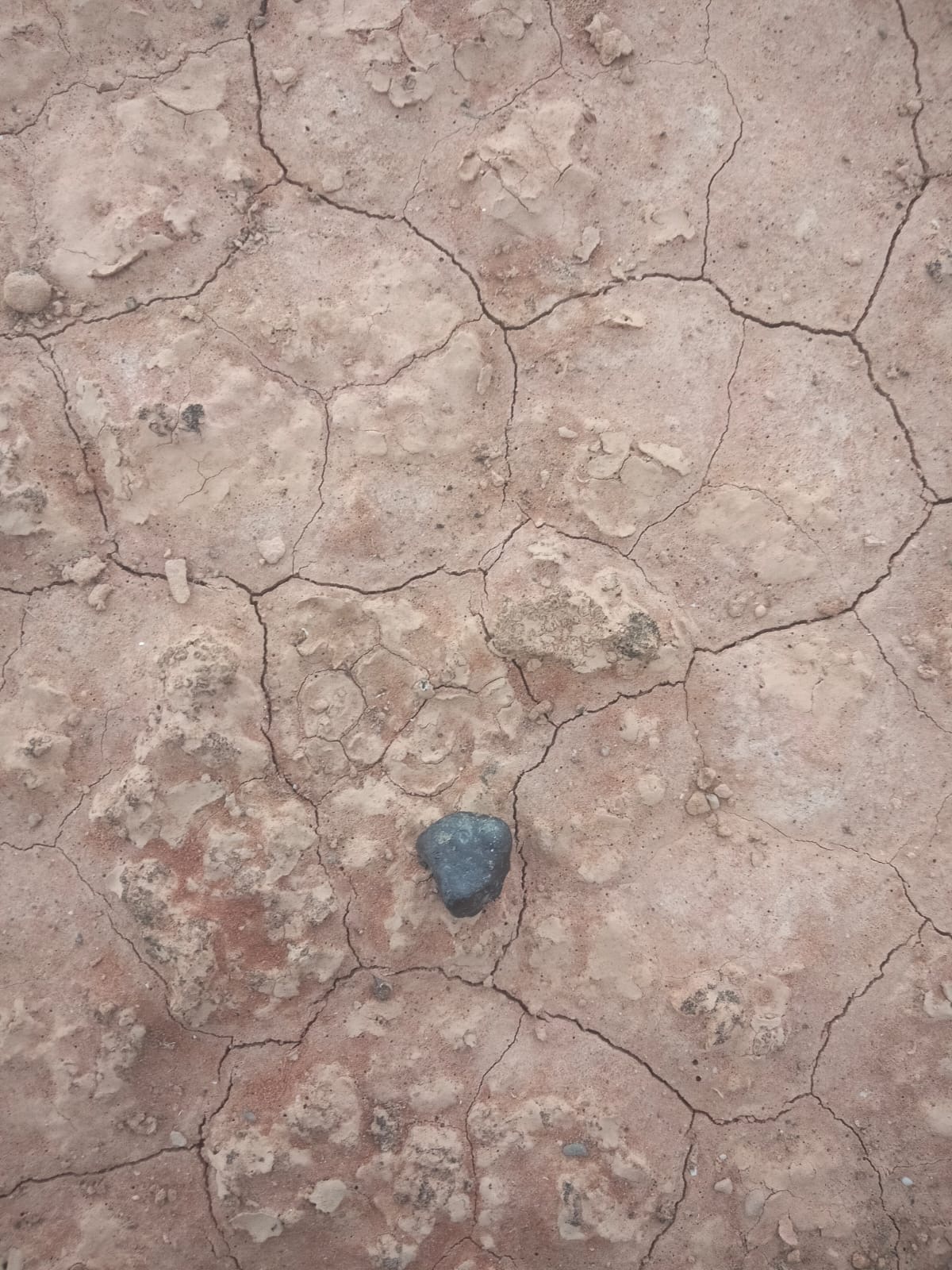 the meteorite